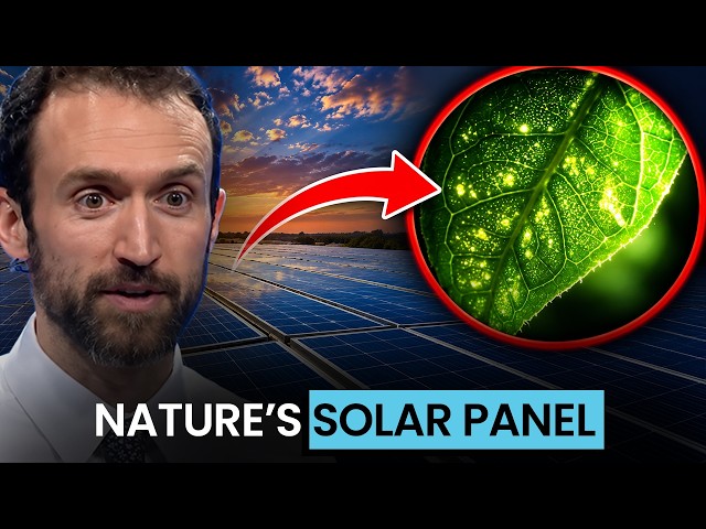 Leaves Are More Insane Than You Think: Nature’s Self-Repairing Solar Panels