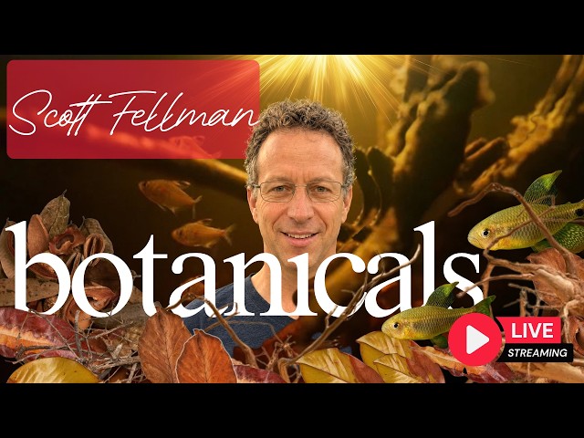 Botanical Method Aquariums with Scott Fellman