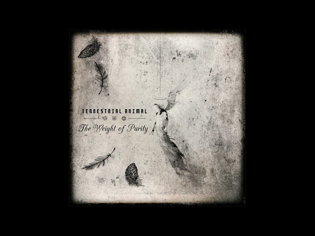 Terrestrial Animal - The Weight of Purity