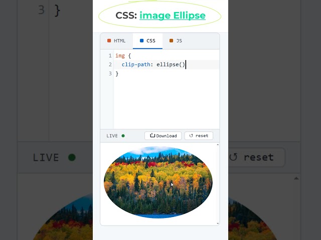 HTML Image Clip Path Ellipse #coding #htmltutorial #csstutorial