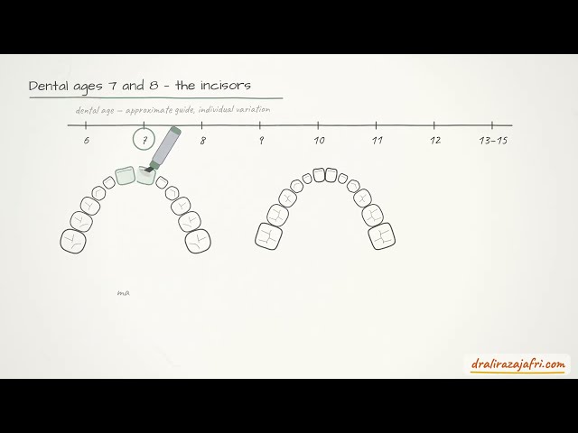 Dental Ages | Assessing Dental Development | Prof. Dr. Ali Raza Jafri