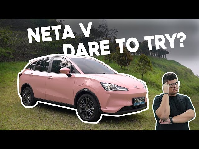 Neta V, Would You Buy One?
