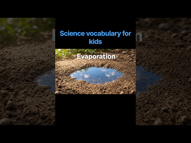 Science words vocabulary learning for kids #shorts