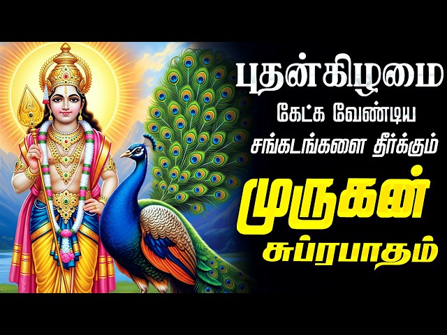 🔴LIVE SONGS | செவ்வாய்க்கிழமை கேட்க வேண்டிய முருகன் சுப்ரபாதம் Murugan Suprabatham Tamil Suprabhatam