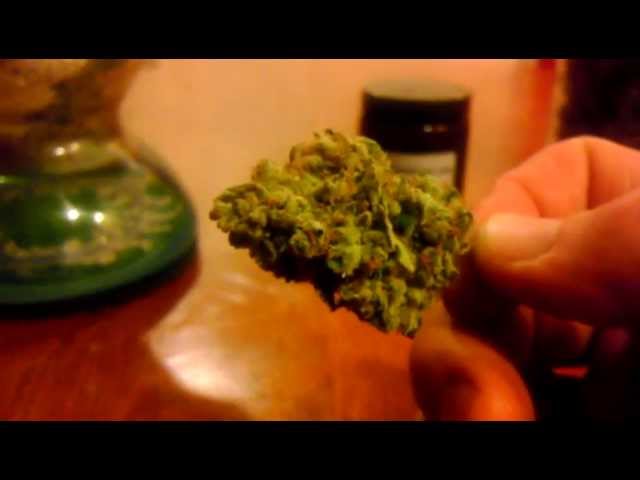 Green Lung Smoking Report-Kosher Kush