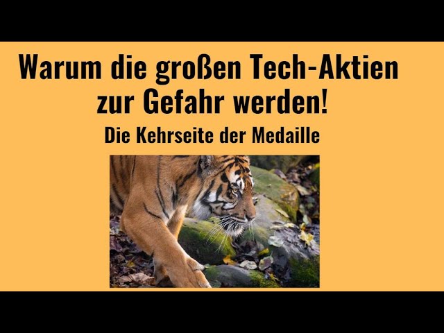 Warum die großen Tech-Aktien zur Gefahr werden! Marktgeflüster
