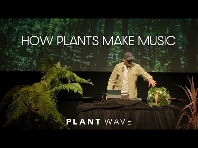 How Plants Make Music