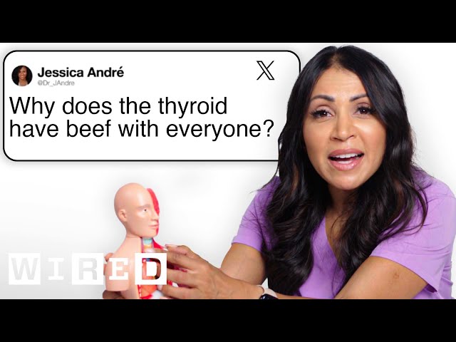 Doctor Answers Hormone Questions From Twitter | Tech Support | WIRED