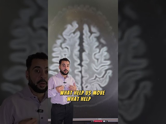 You’ve Seen Brain MRIs… But Do You Know What You’re Actually Looking At? 🧠