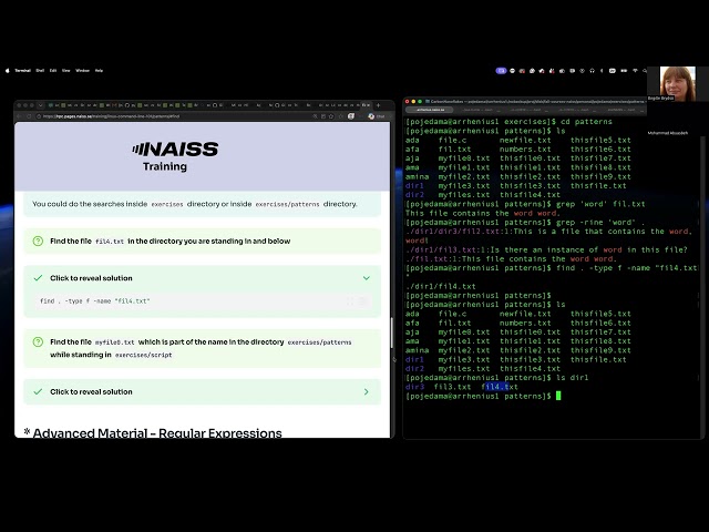 Lecture 7: Linux grep and find