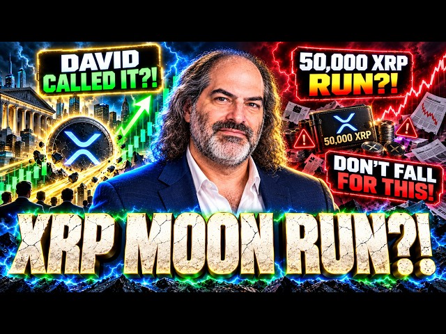 DAVID SCHWARTZ PREDICTING XRP MOONS? - XRP 50,000 XRP RUN! IS IT POSSIBLE? - DON'T FALL FOR THIS!