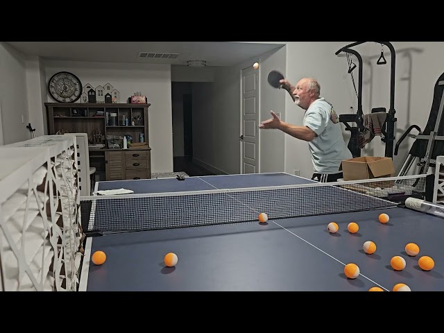 Reverse pendulum 2