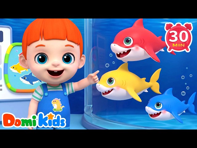 Baby Shark Doo Doo Swim 🦈 Ocean Family Fun | Sea Animal Songs | Nursery Rhymes | Domi Kids