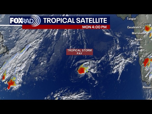 Tropical Weather forecast: Tropical Storm Faye, Hurricane Polo, and more