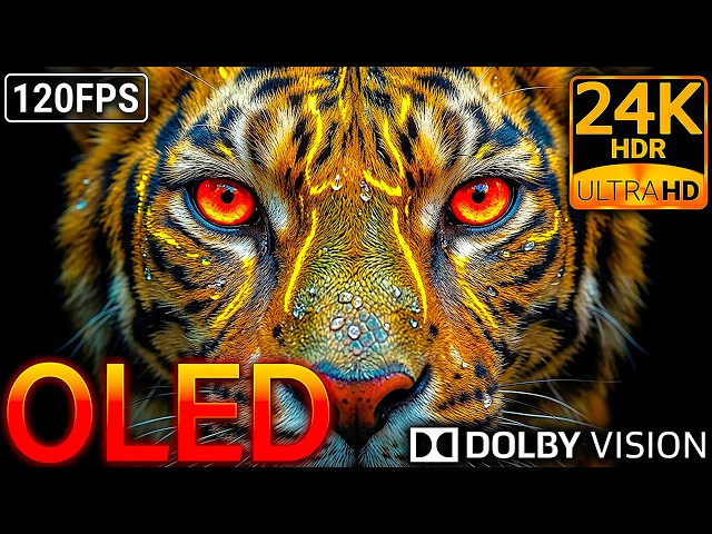 OLED Test: Pure Black & Extreme Color 24K HDR 120FPS Dolby Vision 8K/4K Video