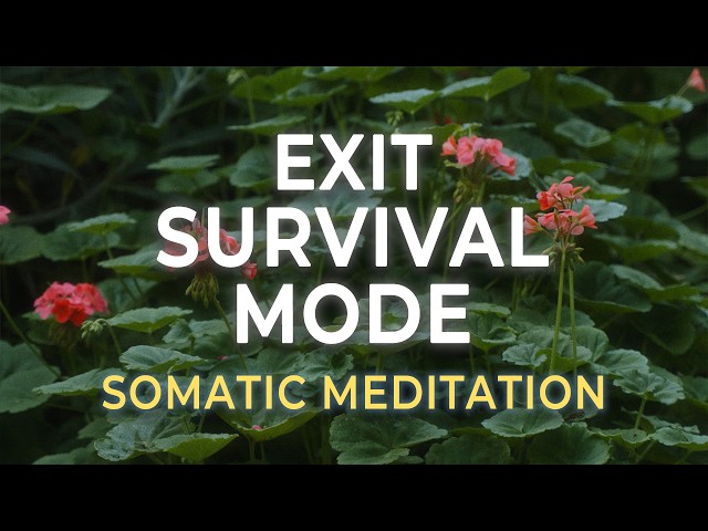 Release the State of Emergency | Nervous System Reset for Chronic Stress