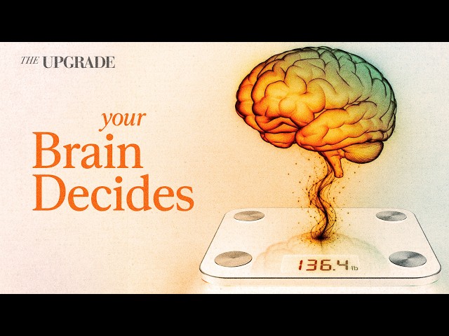 Your Brain Decides Your Weight. Here's How.
