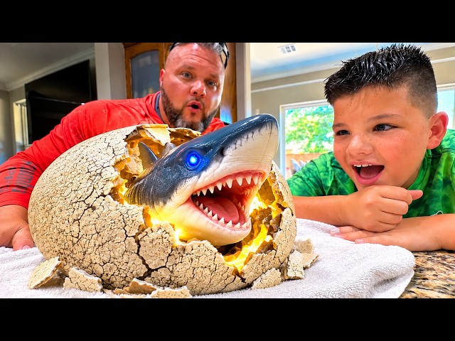 GIANT SHARK EGG! Caleb & Dad Find a Shark Egg! Primal Hatch Megalodon Toy Kids Adventure