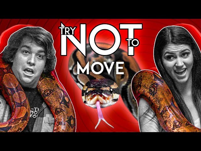 Try Not To Move Challenge | Ultimate Duel (New Channel! 1st Episode!)