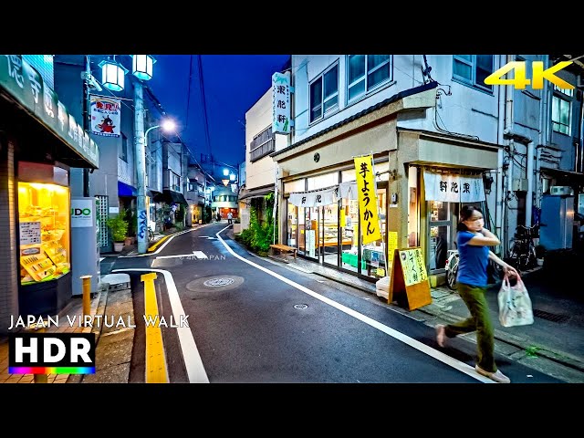 Suburban Tokyo: Day to Night Walk in Shimo-tokaido, Japan • 4K HDR