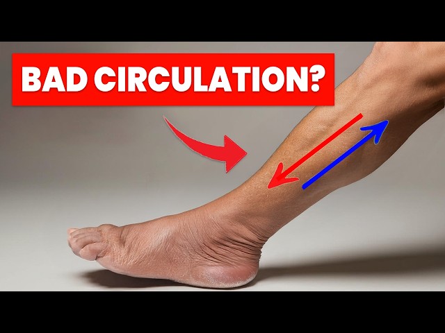 The ONLY 3 Exercises you NEED to Improve Leg Circulation