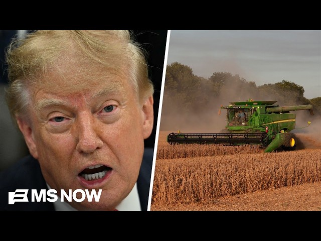 'I think he's just sacrificing us': Farmers SPEAK OUT on impact of Trump's policies