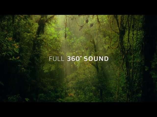 LG OLED : Dolby Atmos: .un son enveloppant