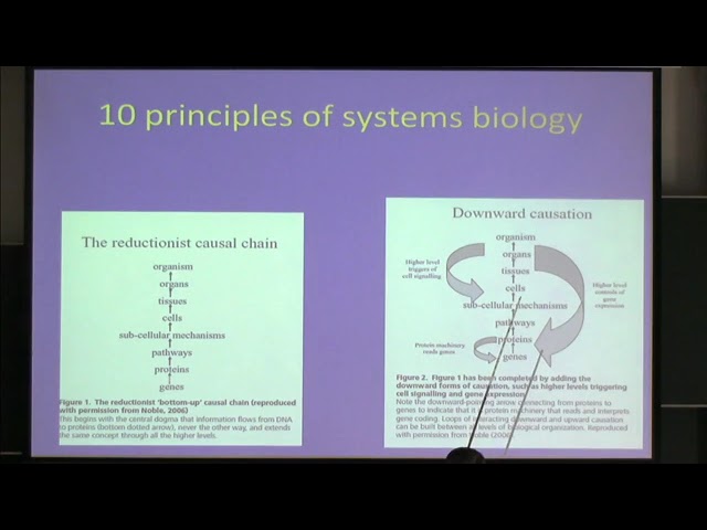 Prof. Philip K Maini | Case studies in modelling pattern formation