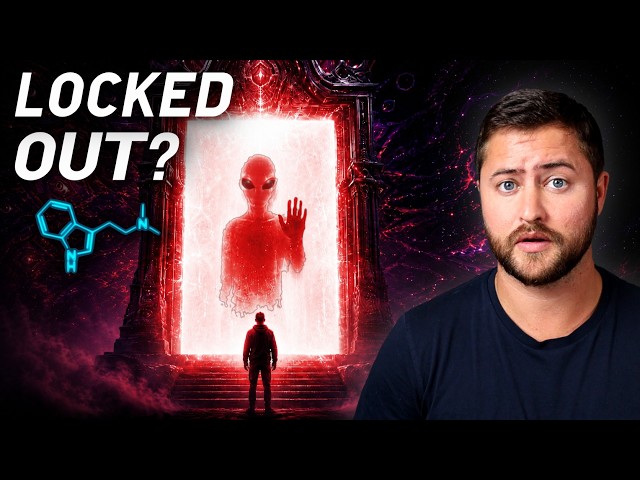 The DMT "Lock Out" Effect Keeps Getting Stranger...