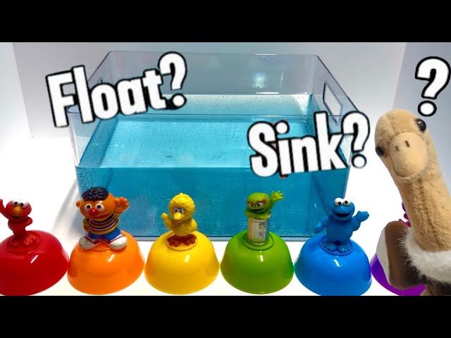 Sink or Float? | Sesame Street Characters | Educational Video for Kids 
