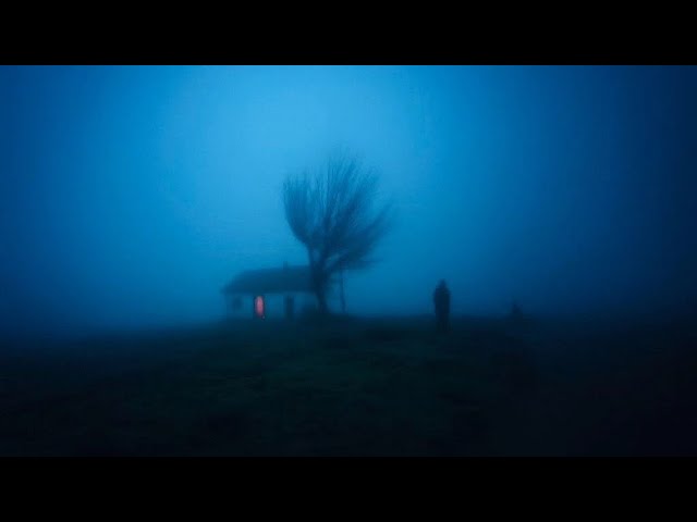 pov: you're watching the first snow from your window | soft snowfall ambient