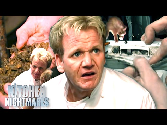gordon must touch everything in these dirty kitchens | COMPILATION | Kitchen Nightmares