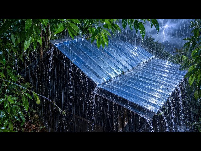 Heavy Rain Sounds for Sleeping 🌧️ Fall Asleep Fast with Rain & Thunder on a Tin Roof