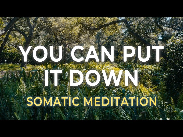 Somatic Meditation for Emotional Release | Let Go & Stop Holding Everything Together