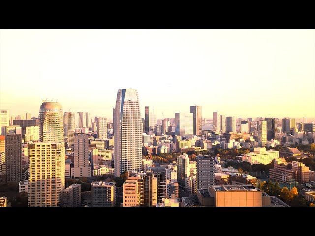 【4K HDR】Tokyo Evening Scenery