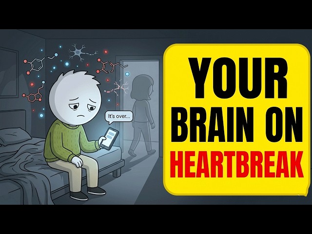 Psychology of Why Breakups Change Our Brain Chemistry