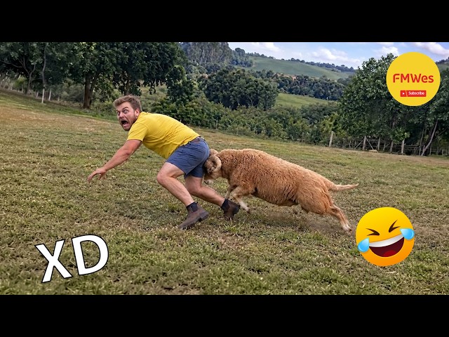 Funny Videos 🤣 If You Laugh You Lose GOD LEVEL #870 😎 Mexican Viral Humor 🤣