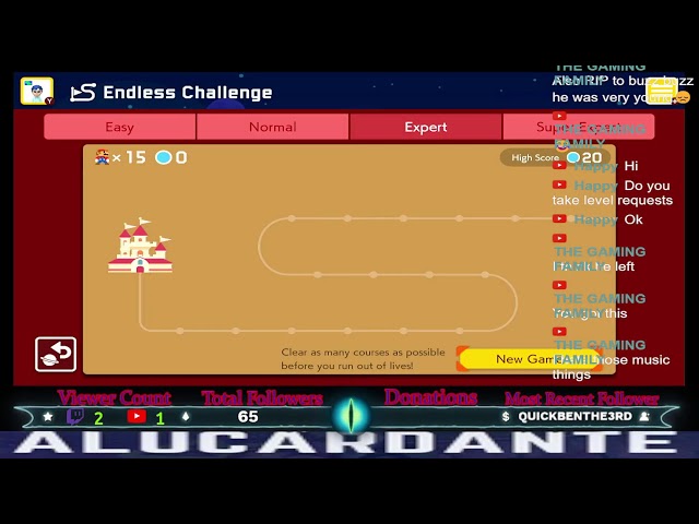 SMM2 Expert Endless
