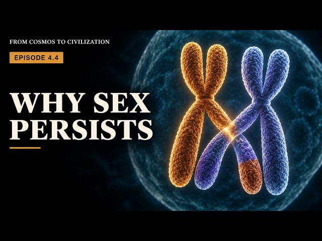 Science Documentary - Why Sex Persists