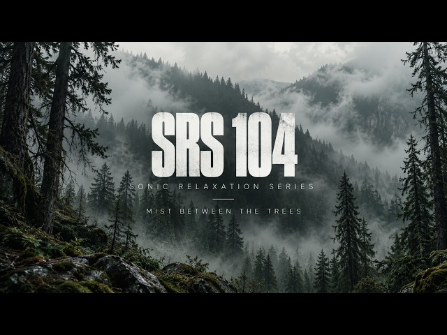 SRS 104 | Mist Between the Trees | Deep Dub Techno & Ambient Journey
