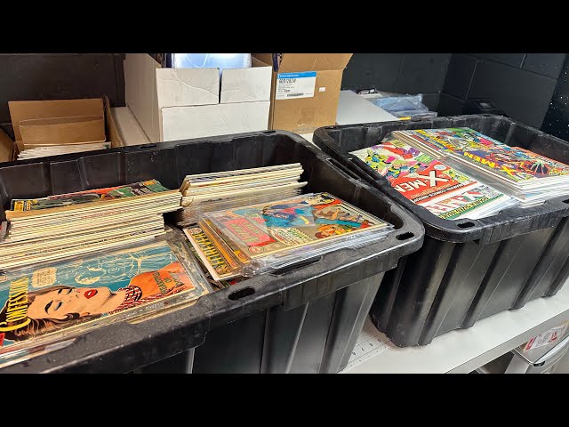 INSANE COMIC BOOK COLLECTION BUY! Amazing haul!