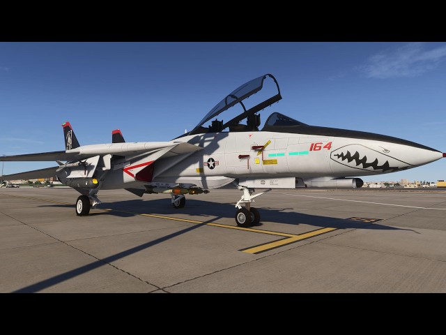 Microsoft Flight Simulator 2024 | More F-14 another marketplace release!