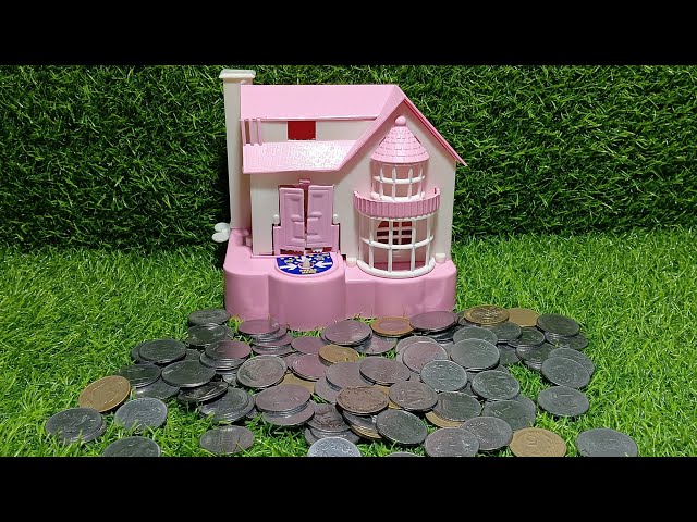 ASMR thinking 🔴 Live coins drop and amezing puppy house.👉🤔
