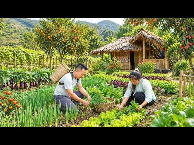 Living in the Forest, Growing and Harvesting Fresh Vegetables to Sell at the Village Market
