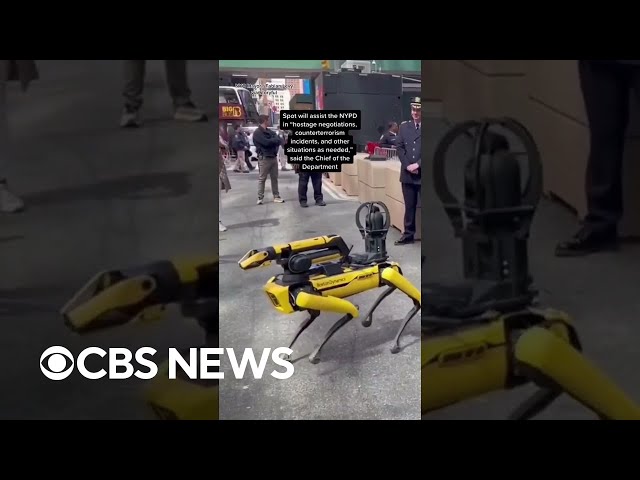 NYPD gets a robot dog cop #shorts