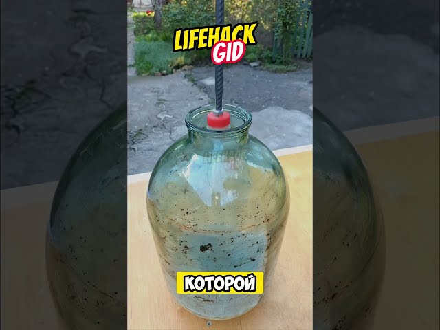 ✨ Home and Workshop Hacks 🔥 #lifehacks #diy #shorts #tools4life #tips #top