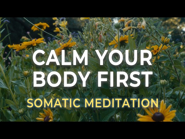 Morning Anxiety Meditation | Calm Your Nervous System Before the Day Begins
