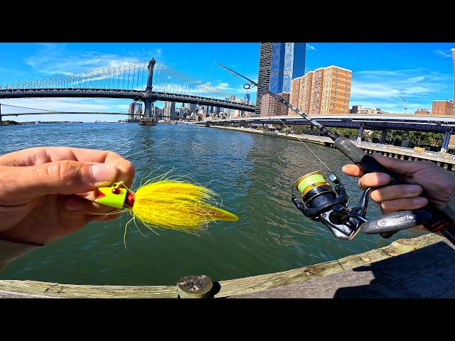Wild Pier Fishing Manhattan NYC East River