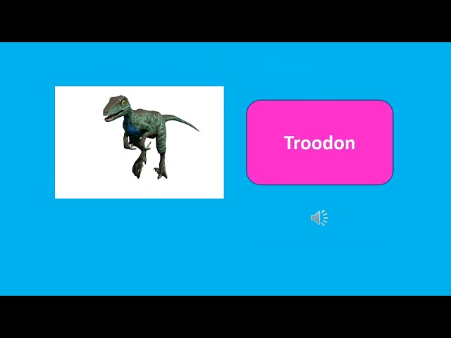 Dinosaur Flashcards