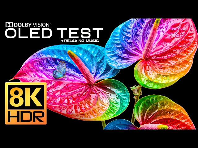 Jaw-Dropping OLED Test Display | Real 8K HDR 240 FPS Dolby Vision | 4K/8K Video ULTRA HD TV